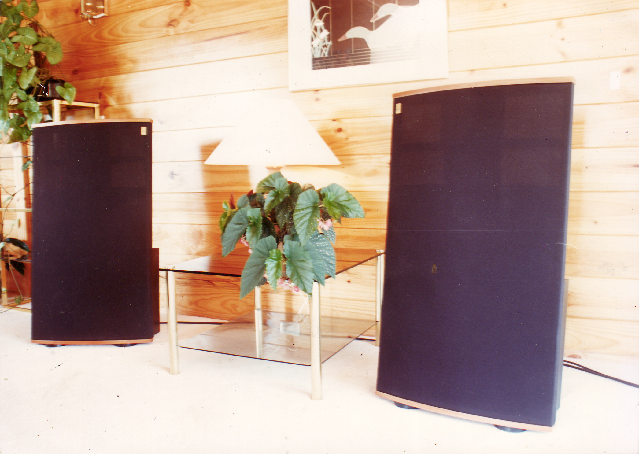 Acoustic Dipoles